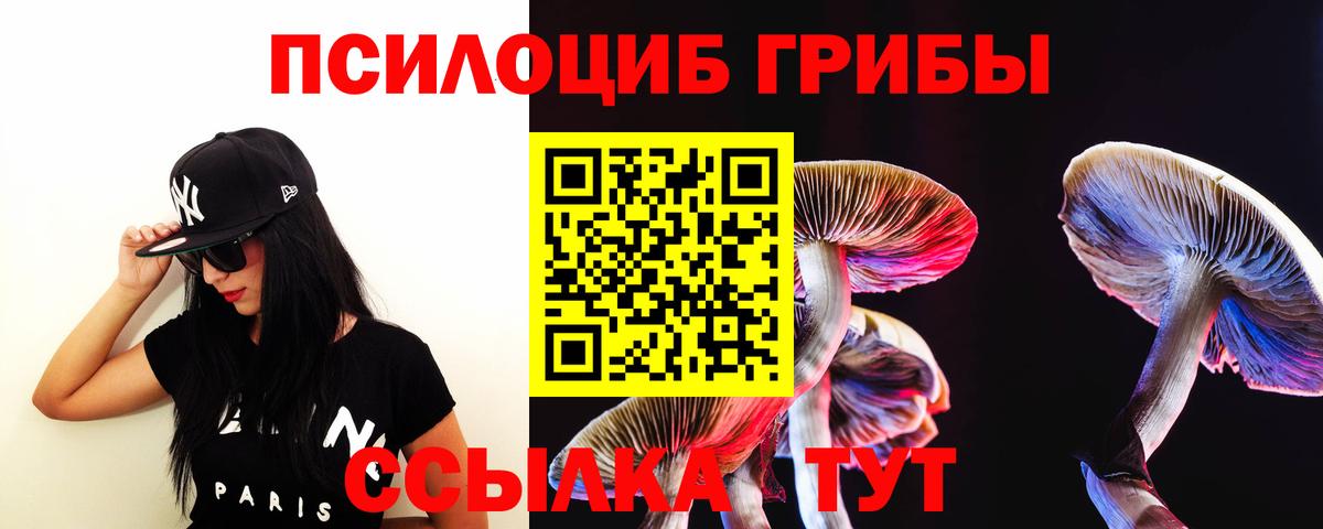 Котовск  Галлюциногенные грибы MAGIC MUSHROOMS  Вход с VPN 